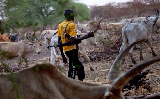 Fulani Herdsman2