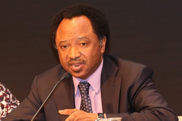 shehu-sani