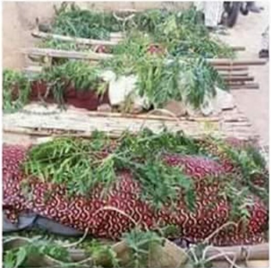 zamfara-massacre4